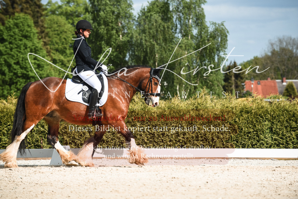 20230518_JK-Röhrsdorf-12-0290 | Pferde- und Turnierfotografie in Westsachsen. Pferdeportraits, Auftragszeichnungen und intuitive Kunst.