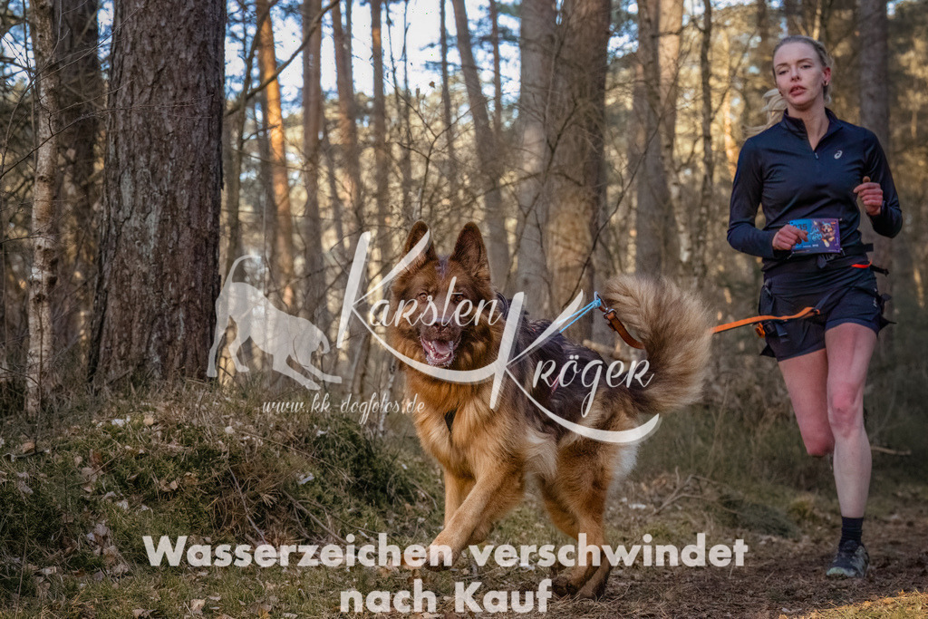 0820_ZZ90503-Bearbeitet | kk-dogfotos