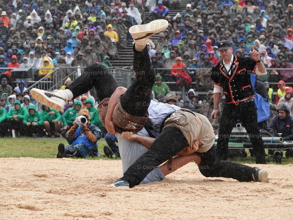 DSC05450 | Schwingen - Realisiert mit Pictrs.com