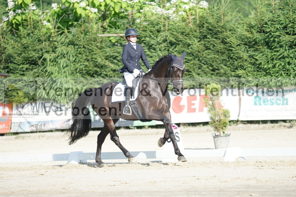 DSC04386 | equestrian-live-com
