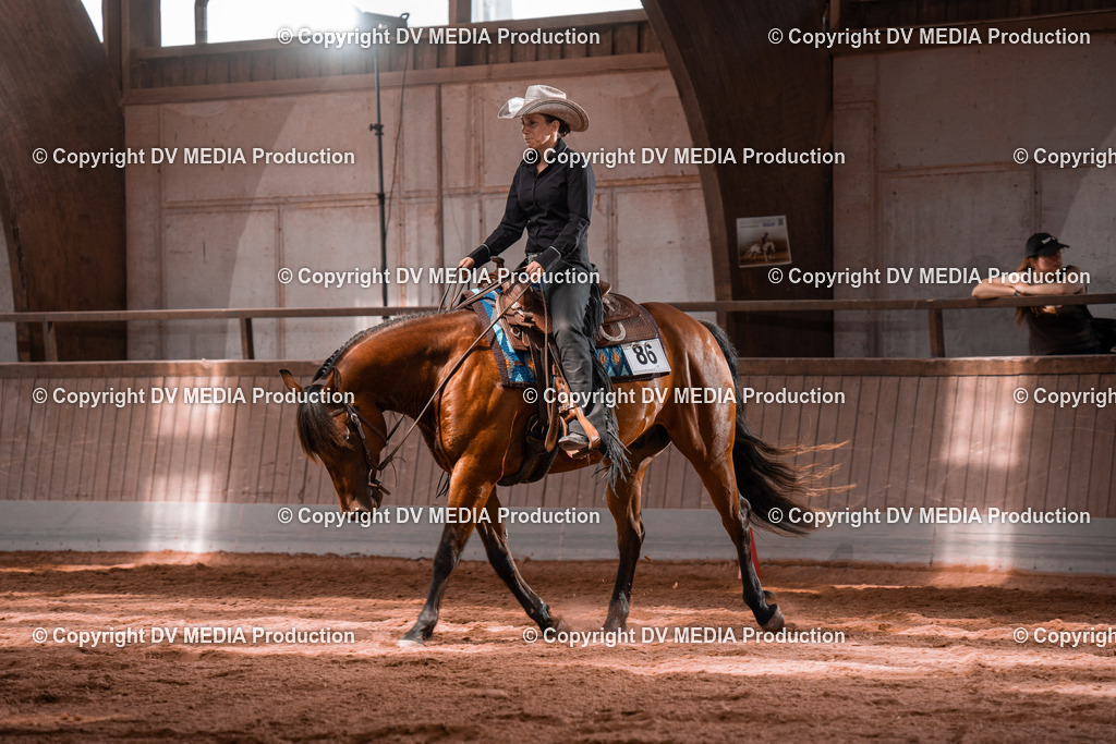 NE100393 | dv-media-shop - Realisiert mit Pictrs.com