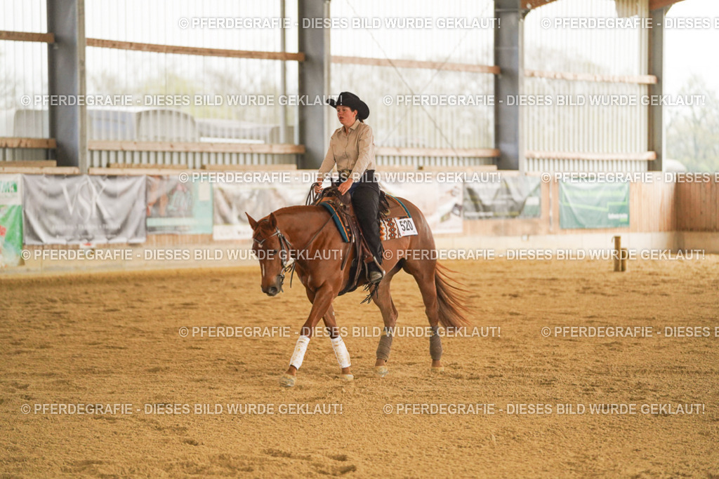 DSC00058 | Pferdegrafie