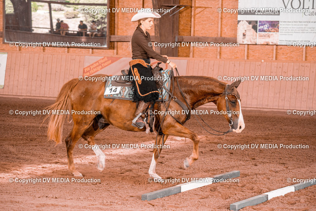 NE300333 | dv-media-shop - Realisiert mit Pictrs.com