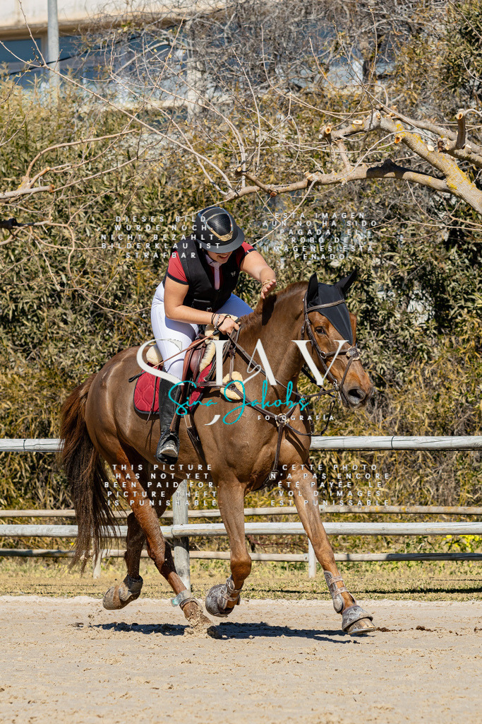 IMG_9260 | s-jay-photography - Realisiert mit Pictrs.com