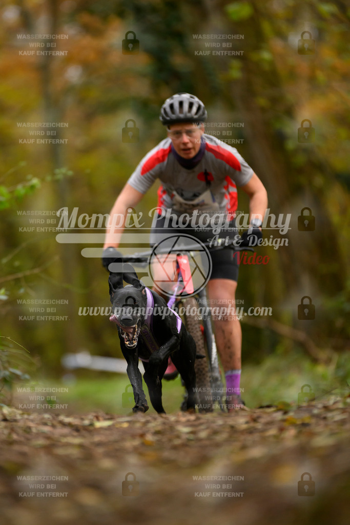 MompixPhotography_Bischwiller24_SA_VTT-21 | PayLife