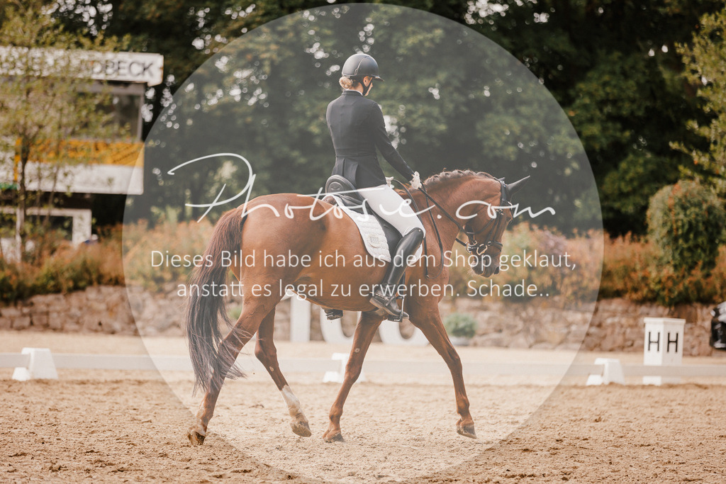 3I6A6225 | Stimmungsvolle Portraits und Reitsportfotografie im Ruhrgebiet und im Münsterland.

Pferdefotografie, Hundefotografie, Tierfotografie, Reportagen, Portraits von Tier und Mensch, Turnierfotografie in Bochum, Recklinghausen, Marl, Haltern am See, Dülmen.. - Realisiert mit Pictrs.com