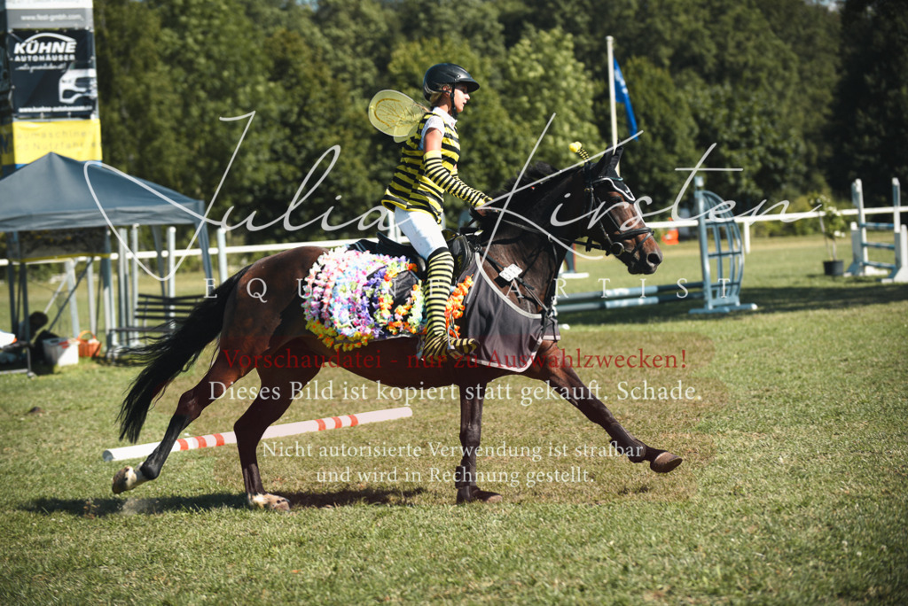 DSC_7685 | Pferde- und Turnierfotografie in Westsachsen. Pferdeportraits, Auftragszeichnungen und intuitive Kunst.