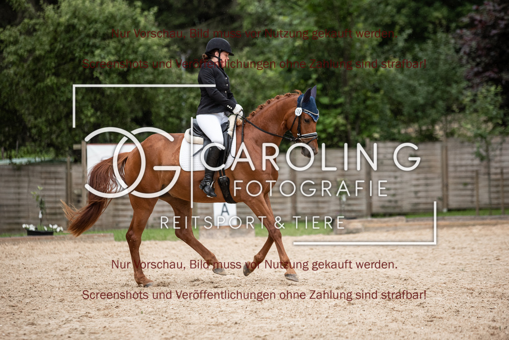 DSC_3210 | Turnierfotografin Carolin Gieschke,Reitsport Turnierfotografie Carolin G Fotografie | Turnierfotos aus Kirchheim/Teck, Esslingen, Stuttgart und dem Bodenseekreis