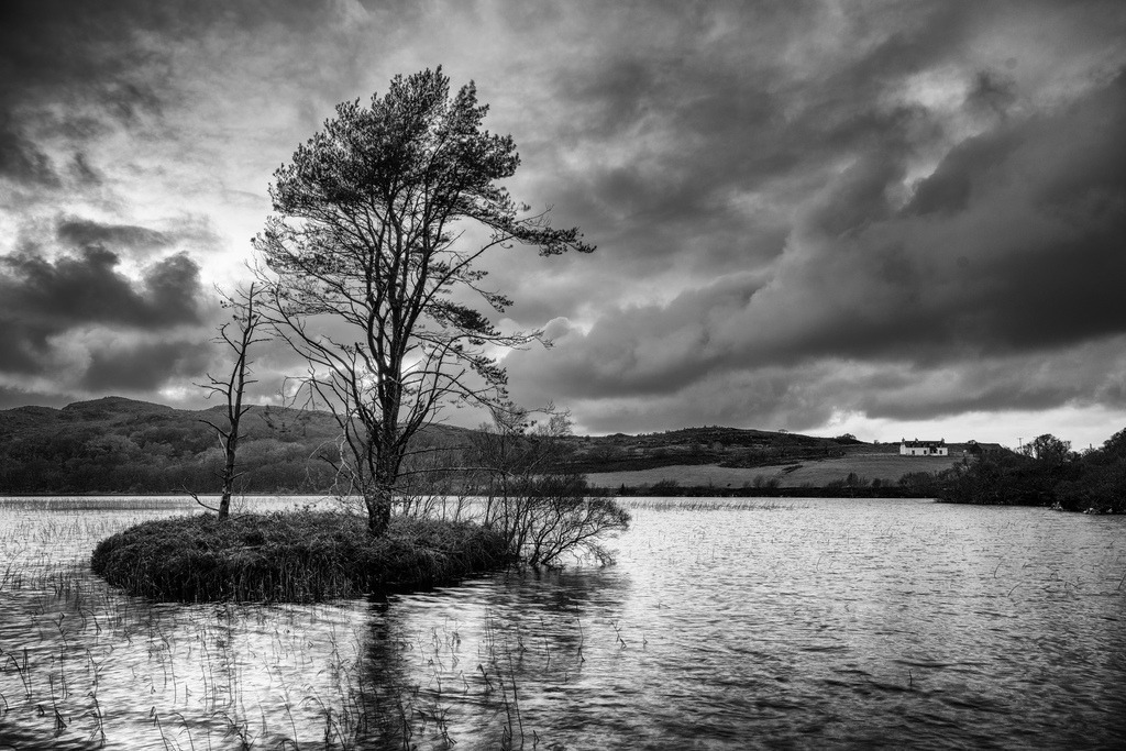 Loch Bad a' Chrotha | Eine markante Bauminsel dominiert den Vordergrund eines schottischen Lochs bei Gairloch. Die Schwarz-Weiss-Aufnahme betont die dramatische Wolkenformation und die Textur des Wassers, die durch die Langzeitbelichtung entsteht. Im Hintergrund ist ein einzelnes weisses Haus auf einer Anhöhe sichtbar, das der weiten Landschaft einen menschlichen Bezugspunkt verleiht. - Realisiert mit Pictrs.com