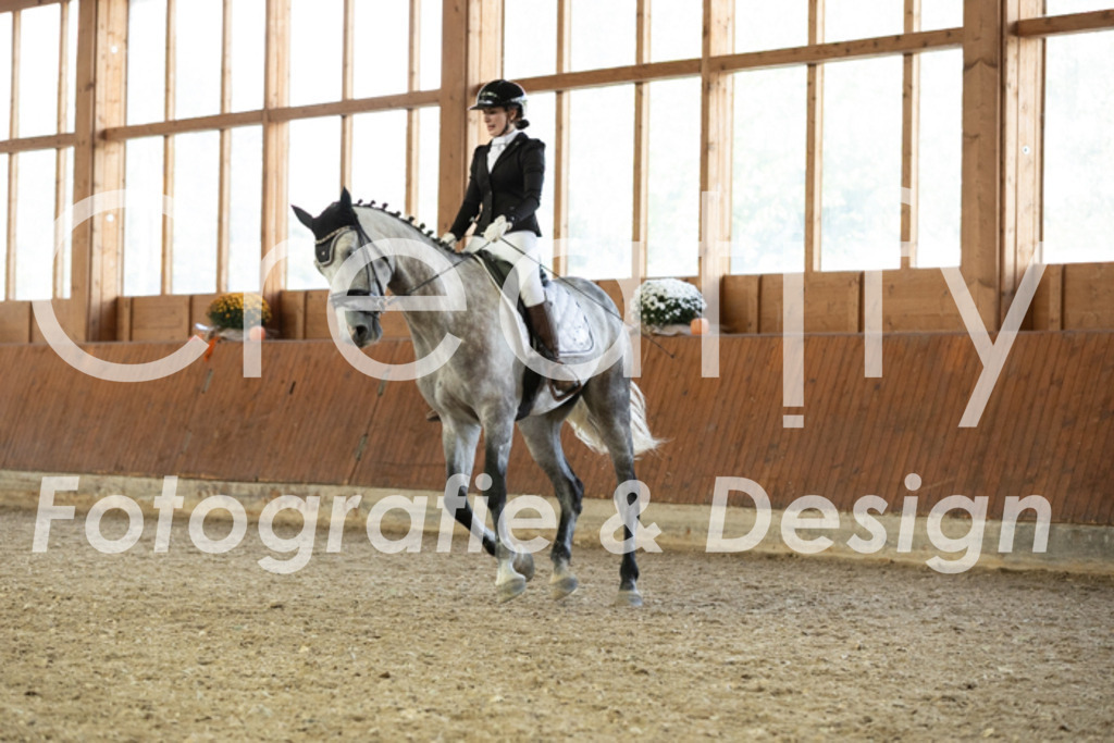 IMG_6182 | Creatify Fotografie