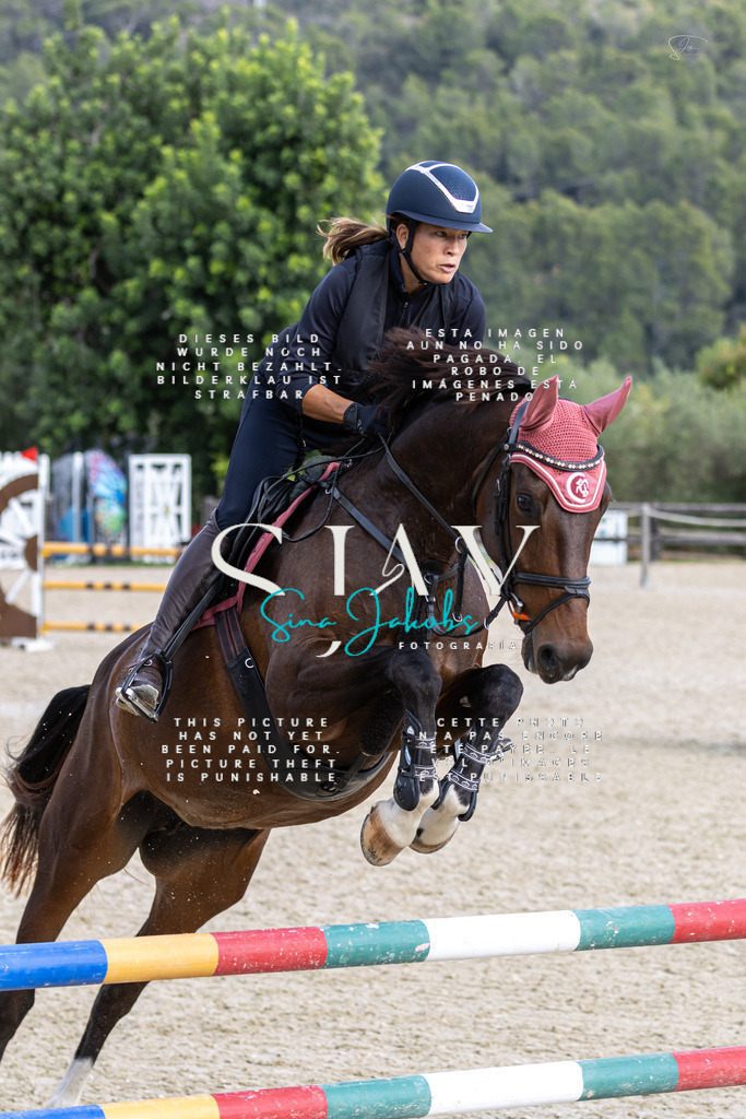 IMG_3108 | s-jay-photography - Realisiert mit Pictrs.com