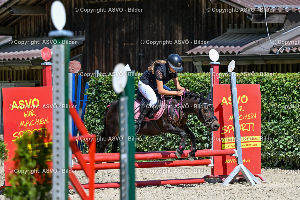 ASVÖ_ Reiten Bezirksmeisterschaft_ 24.08.2025-102 | 24.08.2025, AUT, ASVÖ, Reiten Bezirksmeisterschaft 2025Dressur und Springreiten©fodo.media / Harald Dostal - Realisiert mit Pictrs.com