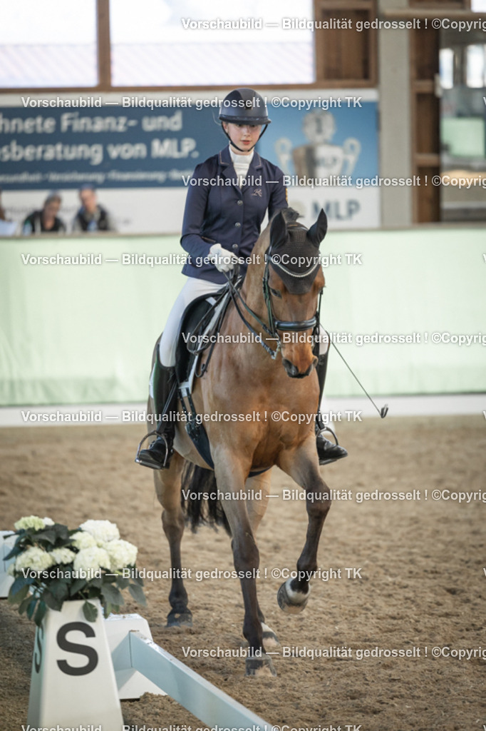 _D5A3189 | Emotionale Pferde- & People-Fotografie rund um Heidelberg, Leimen & Umgebung. Natürliche Fotos von Pferd, Mensch & Familie. Jetzt Termin sichern!