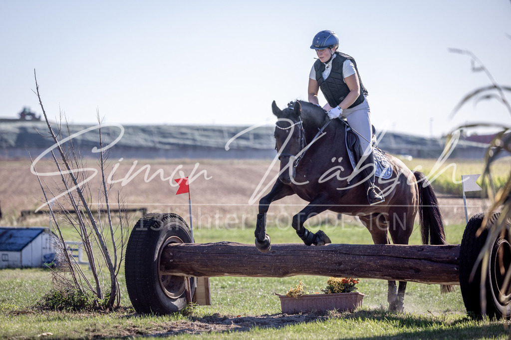 20260906-_3LI1857 | Tierfotografie Pferde, Hunde, Katzen, Haustiere.
Turnierfotografie Reitturniere, Reiten, Springreiten, Dressur in Hanau, dem Main-Kinzig-Kreis und dem Rhein-Main- Gebiet um Frankfurt