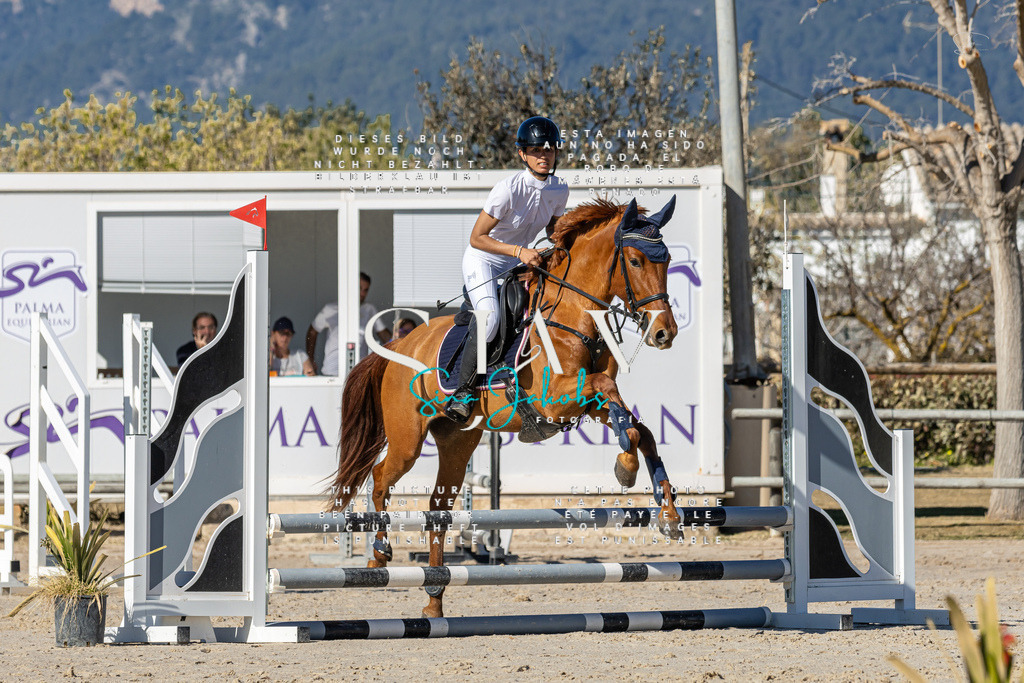 IMG_8532 | s-jay-photography - Realisiert mit Pictrs.com