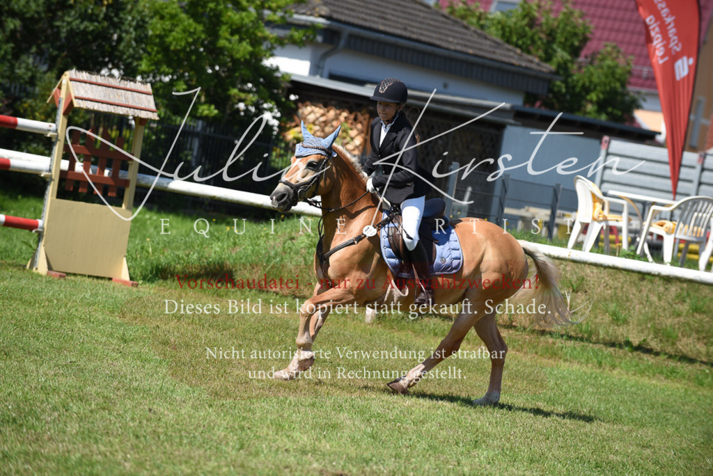 DSC_9323 | Pferde- und Turnierfotografie in Westsachsen. Pferdeportraits, Auftragszeichnungen und intuitive Kunst.