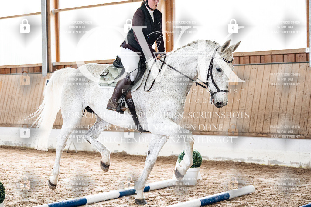 CK902481 | Turnierfotografie Pferdefotografie Trier Rheinland-Pfalz Pferdesport Reitsport Tierfotografie Sportfotografie Pferdevideo Pferdevideografie Equestrianvideography equestrianphotography  - Realisiert mit Pictrs.com
