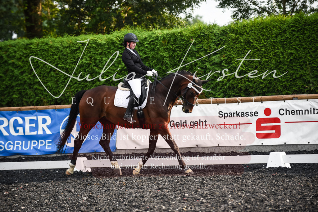 DSC_3337 | Pferde- und Turnierfotografie in Westsachsen. Pferdeportraits, Auftragszeichnungen und intuitive Kunst.