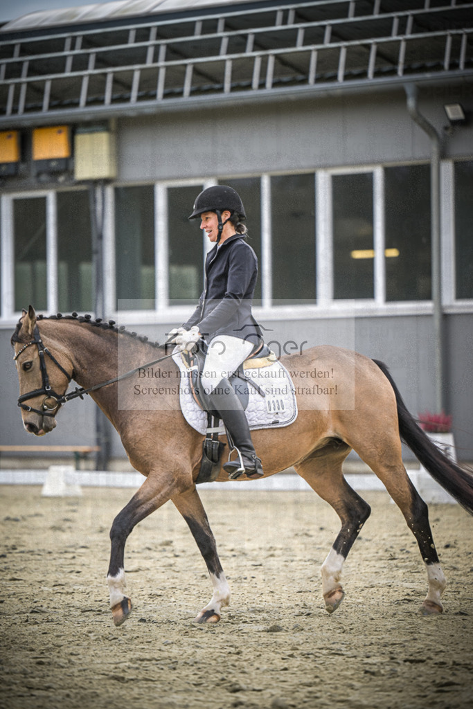 DOS_2361 | Entdecke hochwertige Reitturnierfotos von Foto Oger. Professionell, emotional und authentisch – jetzt Lieblingsmomente im Shop bestellen.Deutschlandweite Turnierfotografie. - Realisiert mit Pictrs.com