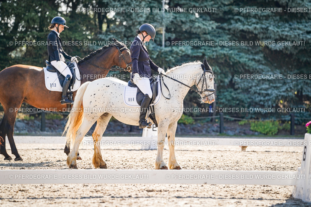 DSC09454 | Pferdegrafie