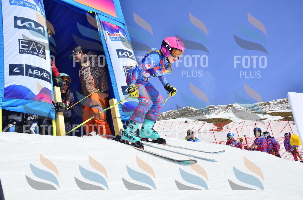 _ELE0370 | holidayphoto