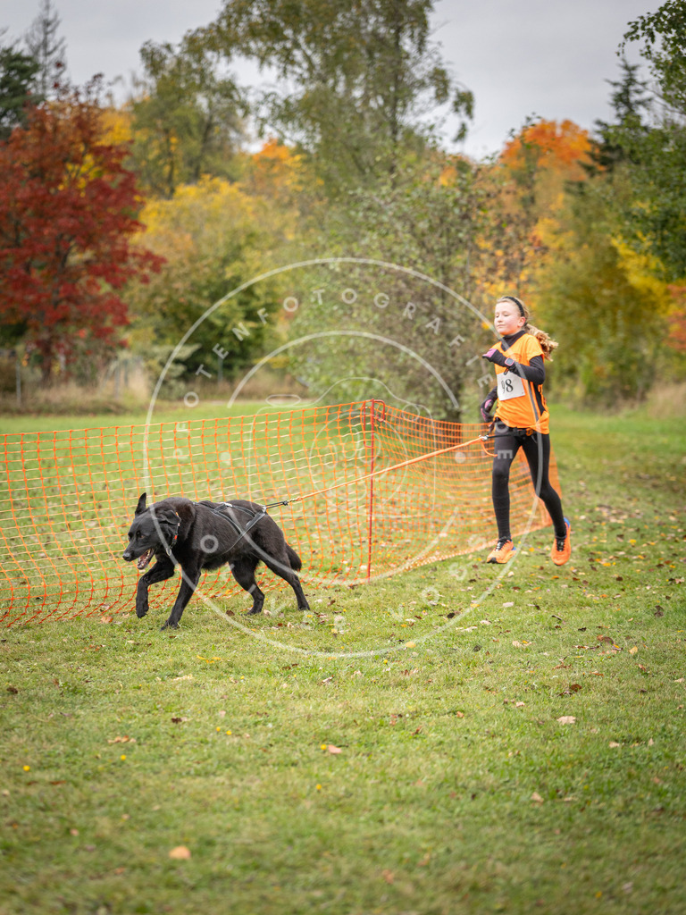 Pfotenfotografie_DV3A3437 | Hundefotografie, Tierfotograf, Pfotenfotografie, Fotoshooting Hund, Hunde Portrait, Hundesport, Hundeportraits, Heideshooting, Hunde, Sportfotograf, Hundefotograf, Turnierhundsport, THS,  - Realisiert mit Pictrs.com