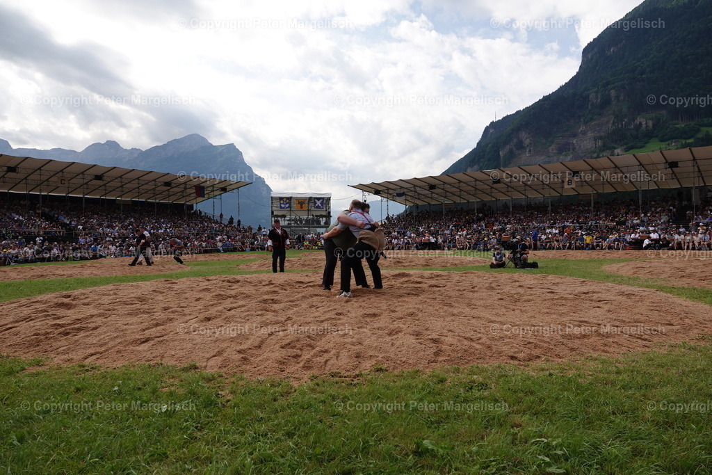 DSC01220 | Schwingen - Realisiert mit Pictrs.com