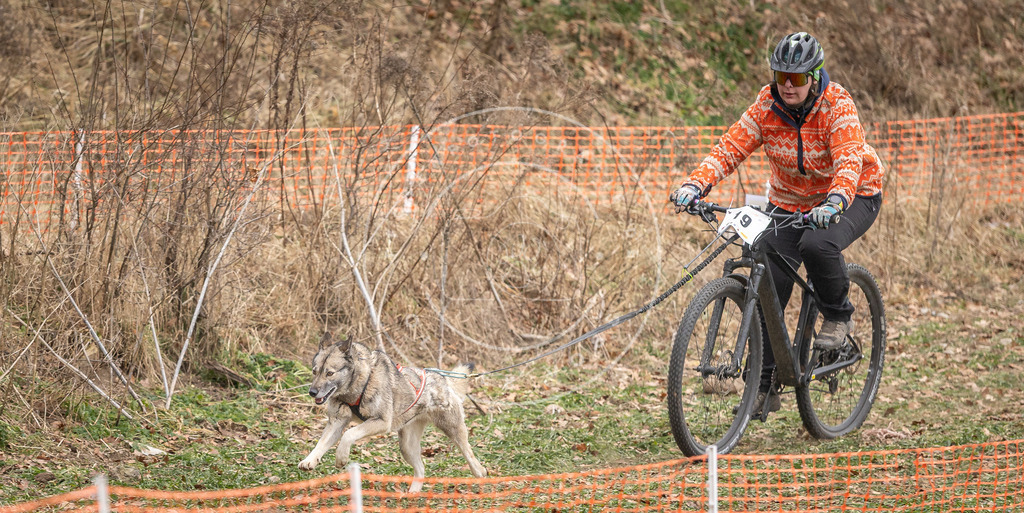 Pfotenfotografie_DV3A6911 | Hundefotografie, Tierfotograf, Pfotenfotografie, Fotoshooting Hund, Hunde Portrait, Hundesport, Hundeportraits, Heideshooting, Hunde, Sportfotograf, Hundefotograf, Turnierhundsport, THS,  - Realisiert mit Pictrs.com