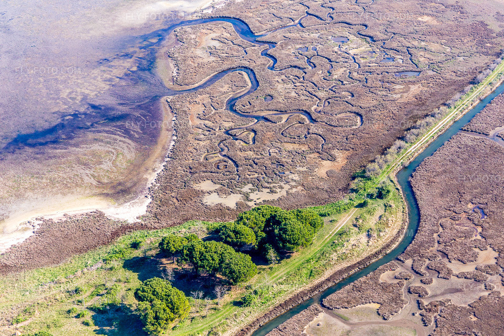 Aerial view: Brackish water landscape on Isola Marinetta in Lido di Grado near Lignano Sabbiadoro in Lignano Sabbiadoro in the state Udine, Italy. – Photo: IMG_098050.jpg taken on 04/03/2017 by Werner Riehm/FLY-FOTO.com – Resolution of the original: 5472 x 3648 px