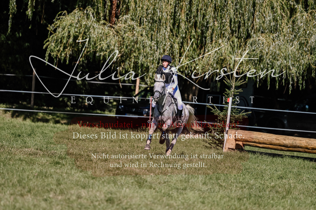 DSC_3026 | Pferde- und Turnierfotografie in Westsachsen. Pferdeportraits, Auftragszeichnungen und intuitive Kunst.