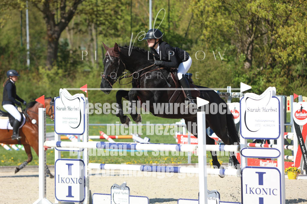 IMGM2541 | pl-fotografie