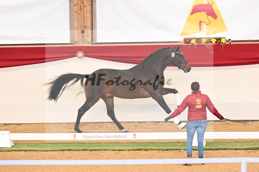 Kat.-Nr. 53 v. Feinsten_Kratzberg_3260543 | hf-fotografie - Realizzato con Pictrs.com