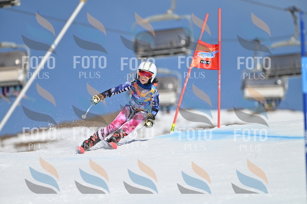 BGV_9186 | holidayphoto