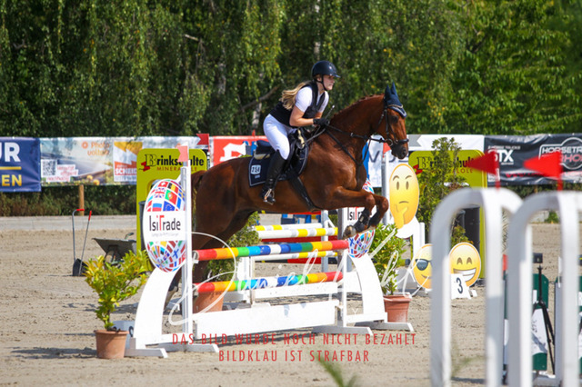 Gut Blee25_Amateuer Stilsprpfg Kl A_0213 | Turniersportfotografie; Pferdefotografie; Dressurfotografie