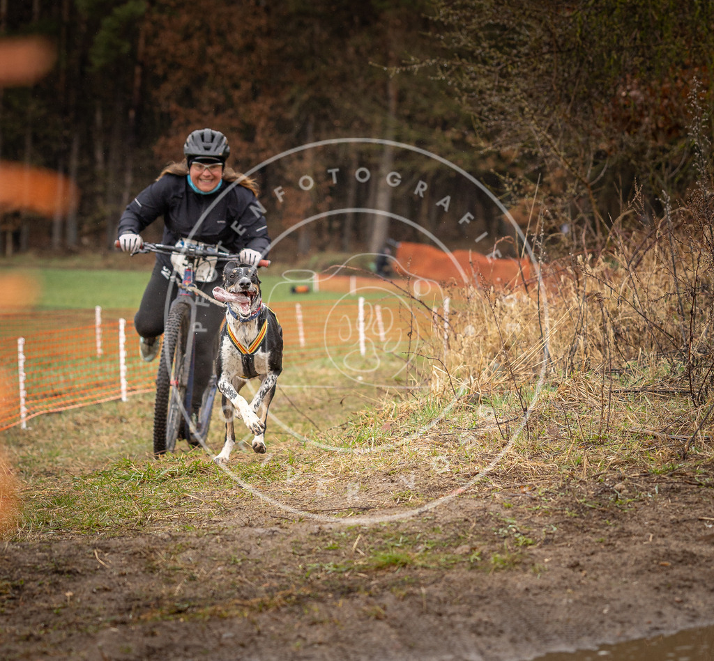 DV3A9433 | Hundefotografie, Tierfotograf, Pfotenfotografie, Fotoshooting Hund, Hunde Portrait, Hundesport, Hundeportraits, Heideshooting, Hunde, Sportfotograf, Hundefotograf, Turnierhundsport, THS,  - Realisiert mit Pictrs.com
