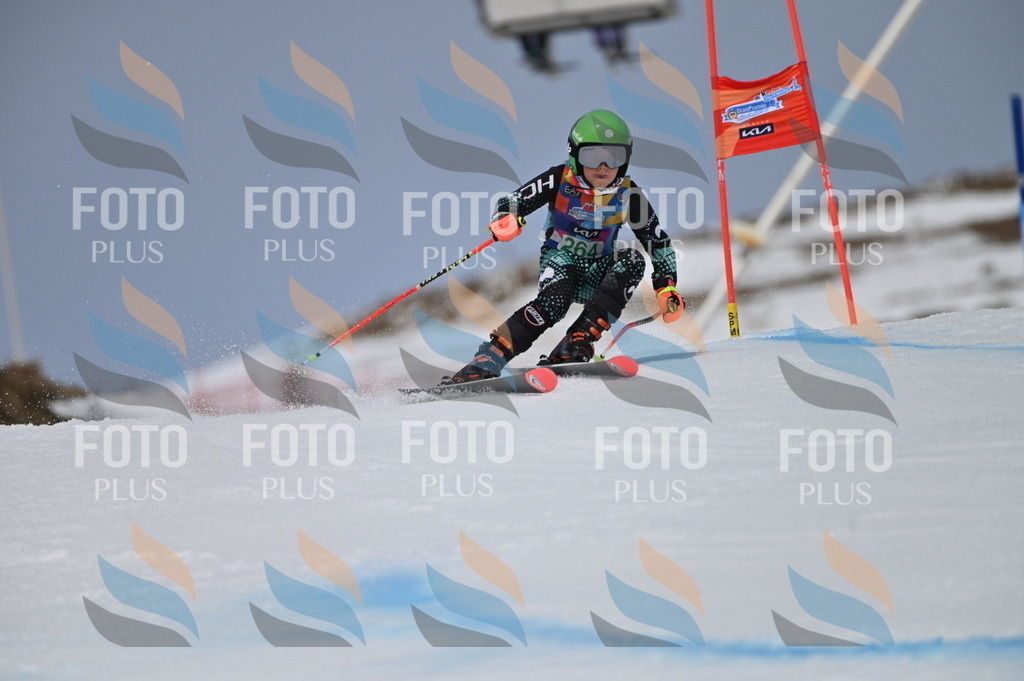 BGV_5238 | holidayphoto