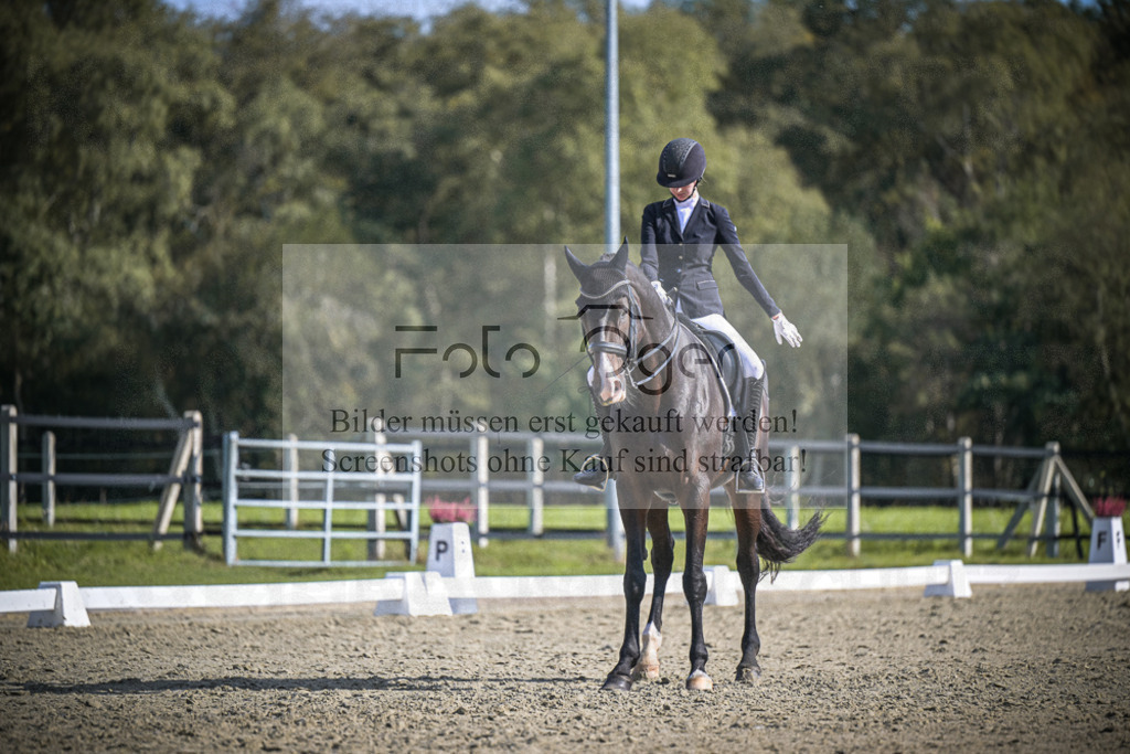 DOS_1974 | Entdecke hochwertige Reitturnierfotos von Foto Oger. Professionell, emotional und authentisch – jetzt Lieblingsmomente im Shop bestellen.Deutschlandweite Turnierfotografie. - Realisiert mit Pictrs.com