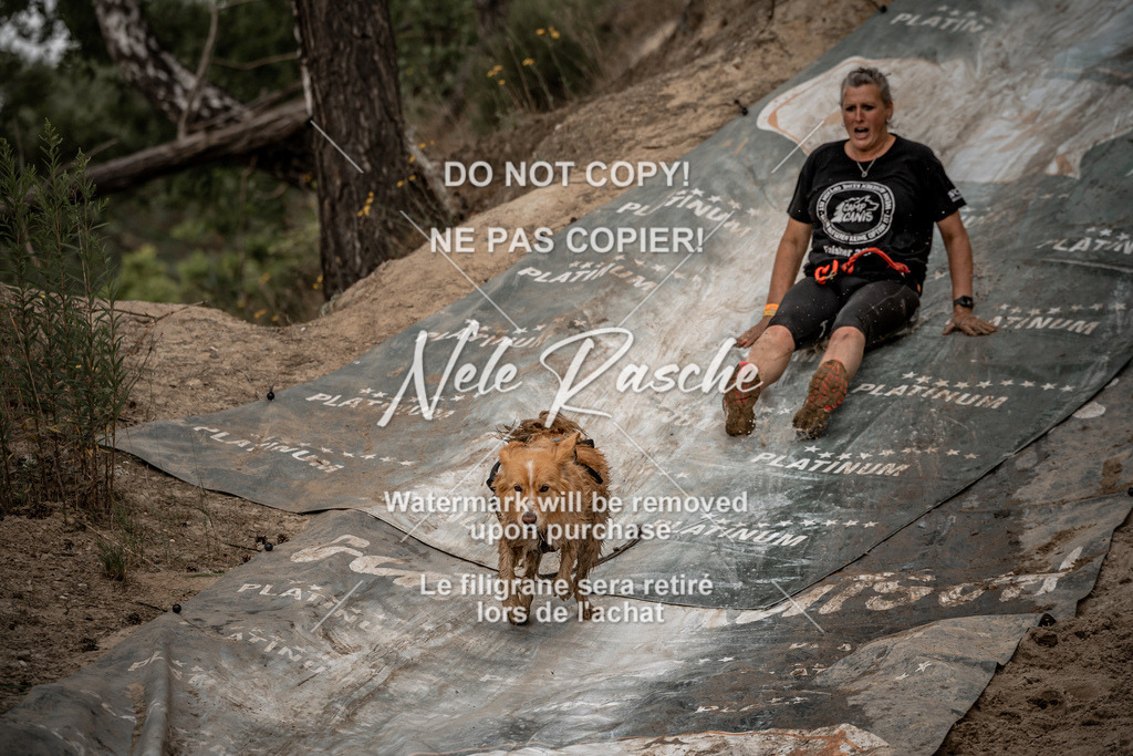 nelerasche_sa1100-1200_137 | nelerasche