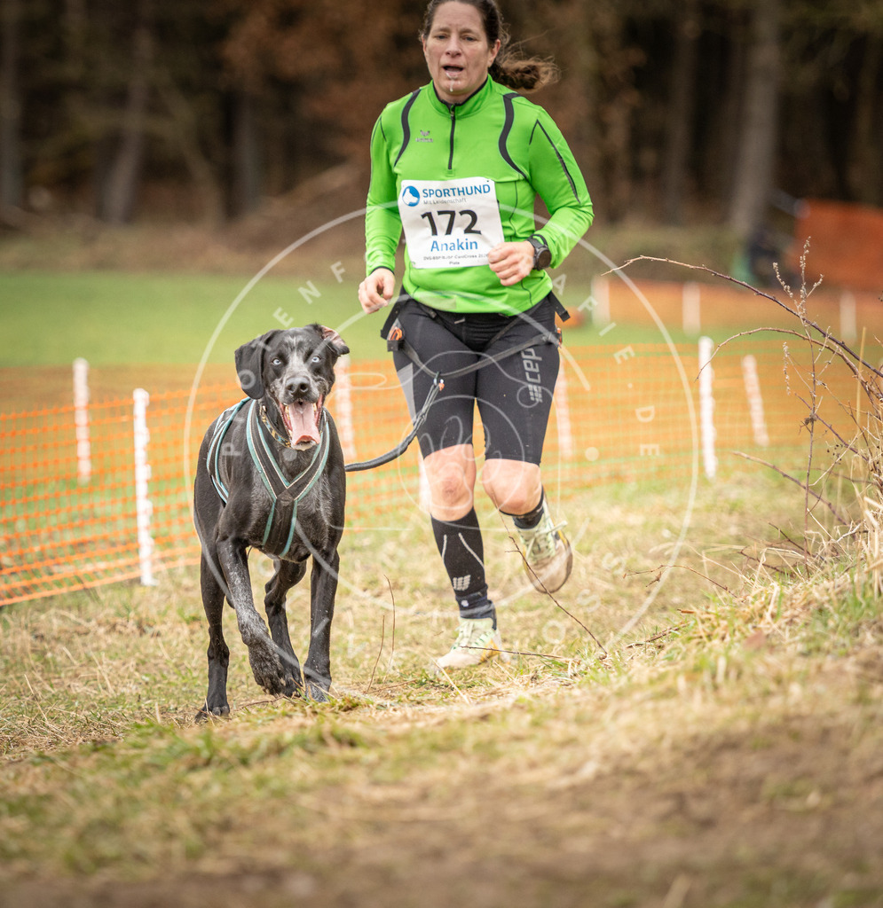 DV3A2321 | Hundefotografie, Tierfotograf, Pfotenfotografie, Fotoshooting Hund, Hunde Portrait, Hundesport, Hundeportraits, Heideshooting, Hunde, Sportfotograf, Hundefotograf, Turnierhundsport, THS,  - Realisiert mit Pictrs.com