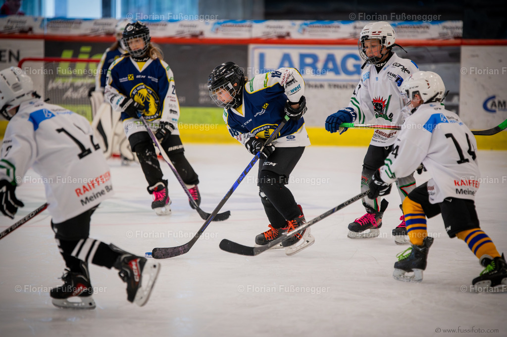 DSC_2166 | "Fussifoto.com – Ihr Ansprechpartner für hochwertige Fotografie! Entdecken Sie kreative Bilder und professionelle Dienstleistungen. Kontaktieren Sie uns für Ihre Projekte!"