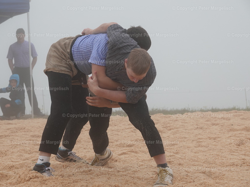 DSC07851 | Schwingen - Realisiert mit Pictrs.com