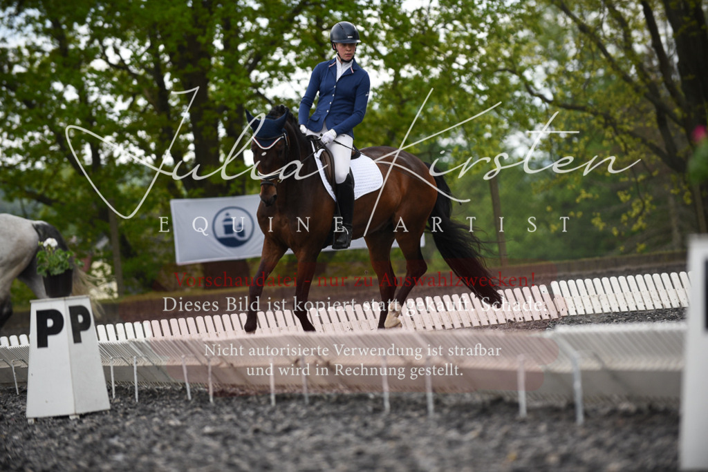 20230513_JK-Röhrsdorf-15-079 | Pferde- und Turnierfotografie in Westsachsen. Pferdeportraits, Auftragszeichnungen und intuitive Kunst.