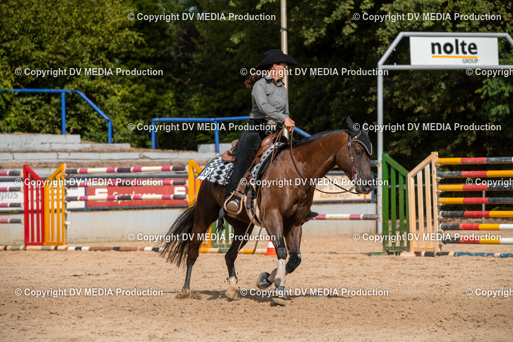 EWP_5919 | dv-media-shop - Realisiert mit Pictrs.com