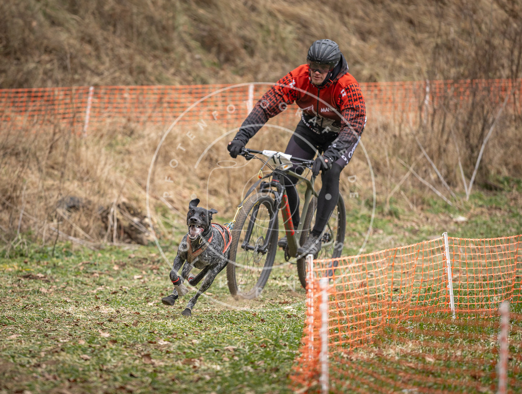 Pfotenfotografie_DV3A6731 | Hundefotografie, Tierfotograf, Pfotenfotografie, Fotoshooting Hund, Hunde Portrait, Hundesport, Hundeportraits, Heideshooting, Hunde, Sportfotograf, Hundefotograf, Turnierhundsport, THS,  - Realisiert mit Pictrs.com