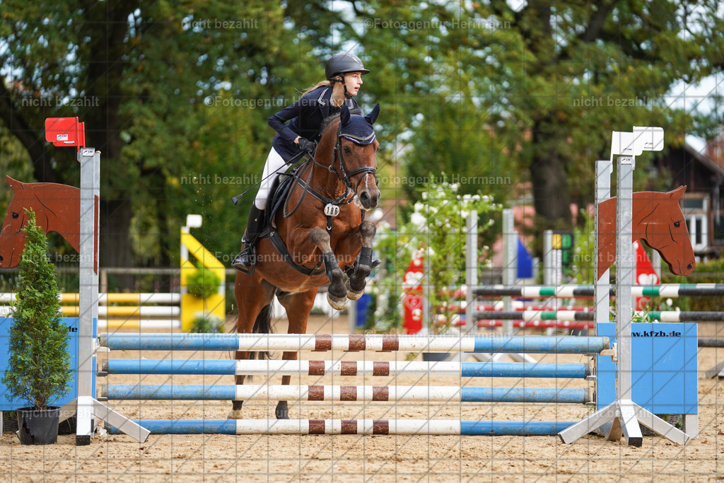 20221009-FAH08441 | Diessen am Ammersee, 2022, Dressur- und Springturnier, Reitsportbilder, Turnierfotografen Bayern, Pferdefotografen, Fotoagentur Herrmann, Turnierbilder