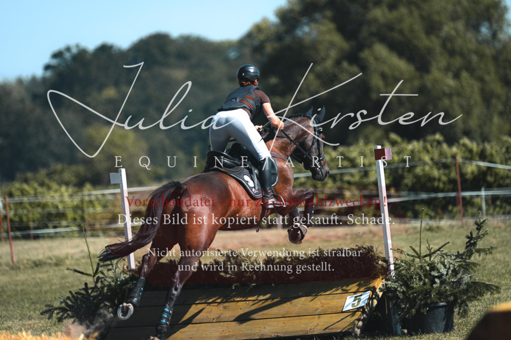DSC_8226 | Pferde- und Turnierfotografie in Westsachsen. Pferdeportraits, Auftragszeichnungen und intuitive Kunst.
