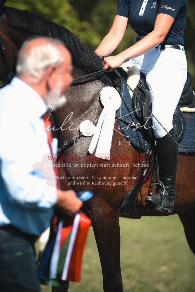 DSC_7318 | Pferde- und Turnierfotografie in Westsachsen. Pferdeportraits, Auftragszeichnungen und intuitive Kunst.