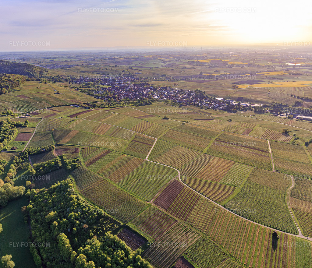 Aerial view: Sonnenberg vineyard in Wissembourg in the state Bas-Rhin, France. – Photo: IMG_107014.jpg taken on 04/27/2018 by Werner Riehm/FLY-FOTO.com – Resolution of the original: 4247 x 3648 px