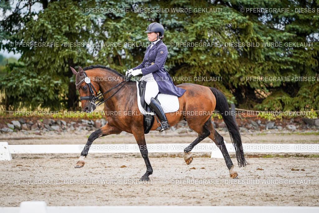 DSC00245 | Pferdegrafie