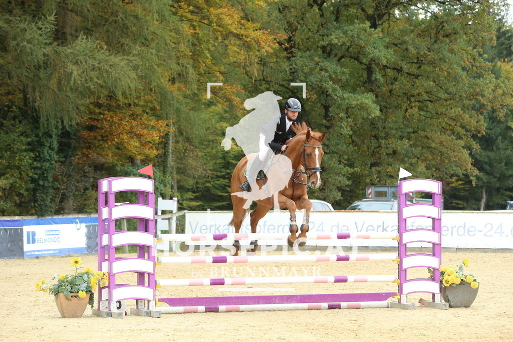 DL2Q6798 | Willkommen bei Brunnmayr - Design & Fotografie – Ihrem Spezialisten für Reitturniere und Pferdeveranstaltungen in Oberösterreich, Salzburg und Bayern! Seit über 17 Jahren sind wir leidenschaftlich dabei.